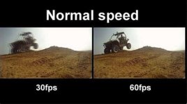 images (1).jpeg images (1).jpeg
