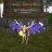 djnightman